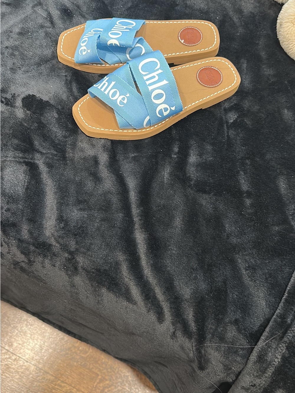 Blue Logo Ribbon Slide Sandals
